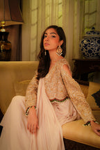 Rose Chiffon Concept Saree