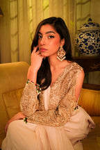 Rose Chiffon Concept Saree