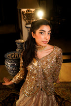 Silver Grey Lehnga Choli