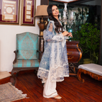 Celeste — Printed Organza 3-Piece